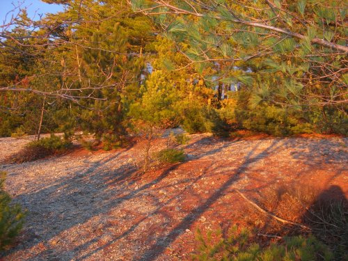 yjt2010_1202_154405AA.JPG