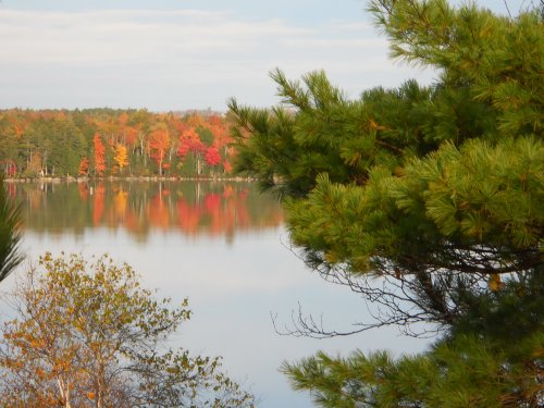 yjt2011_1012_075846AA.JPG